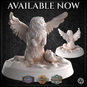 Scottish Fold Tressym