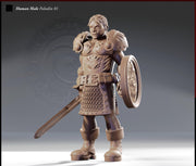 Human Male Paladin