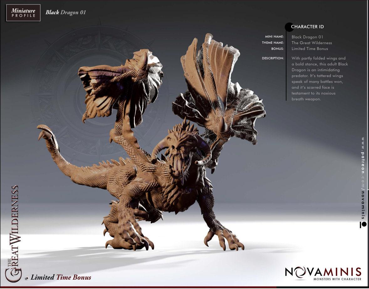 Black Dragon Perfect for RPG Black Dragony Needs