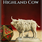 Highland Cow