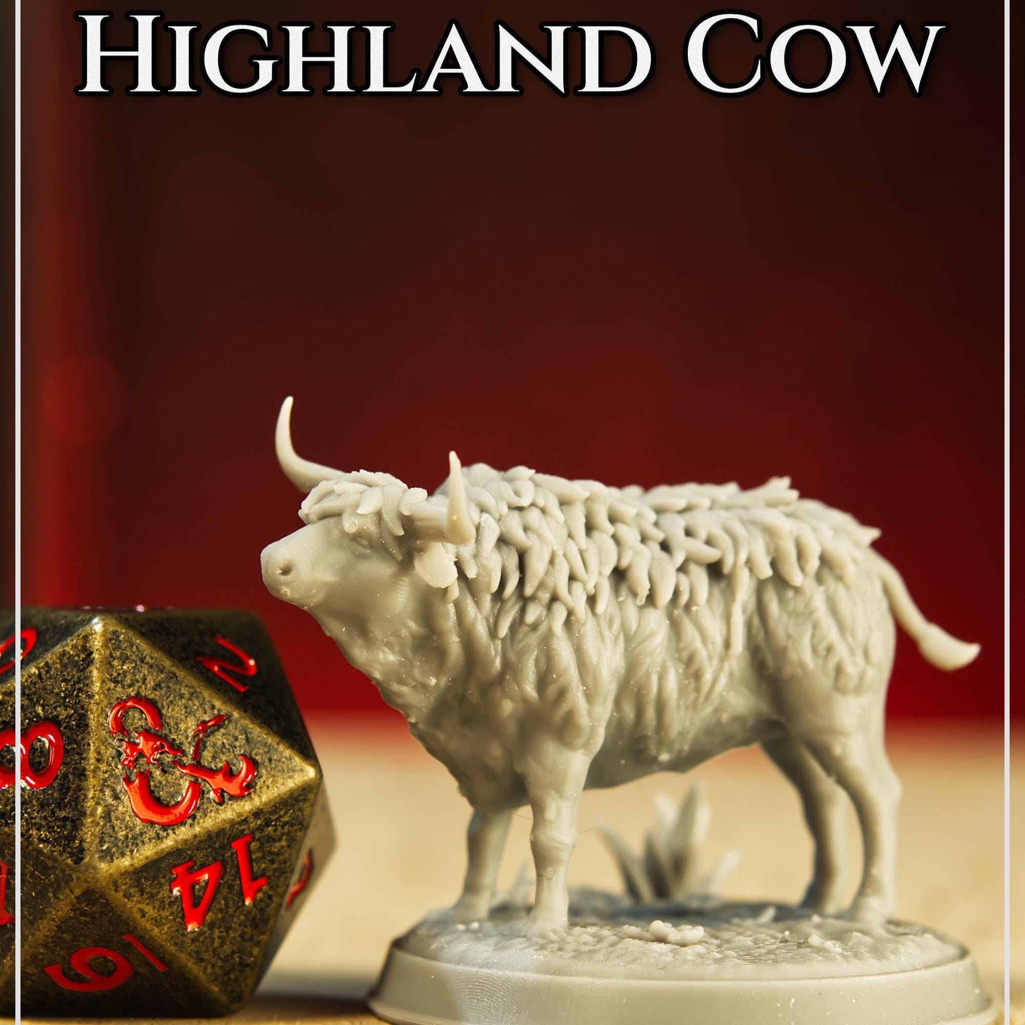 Highland Cow