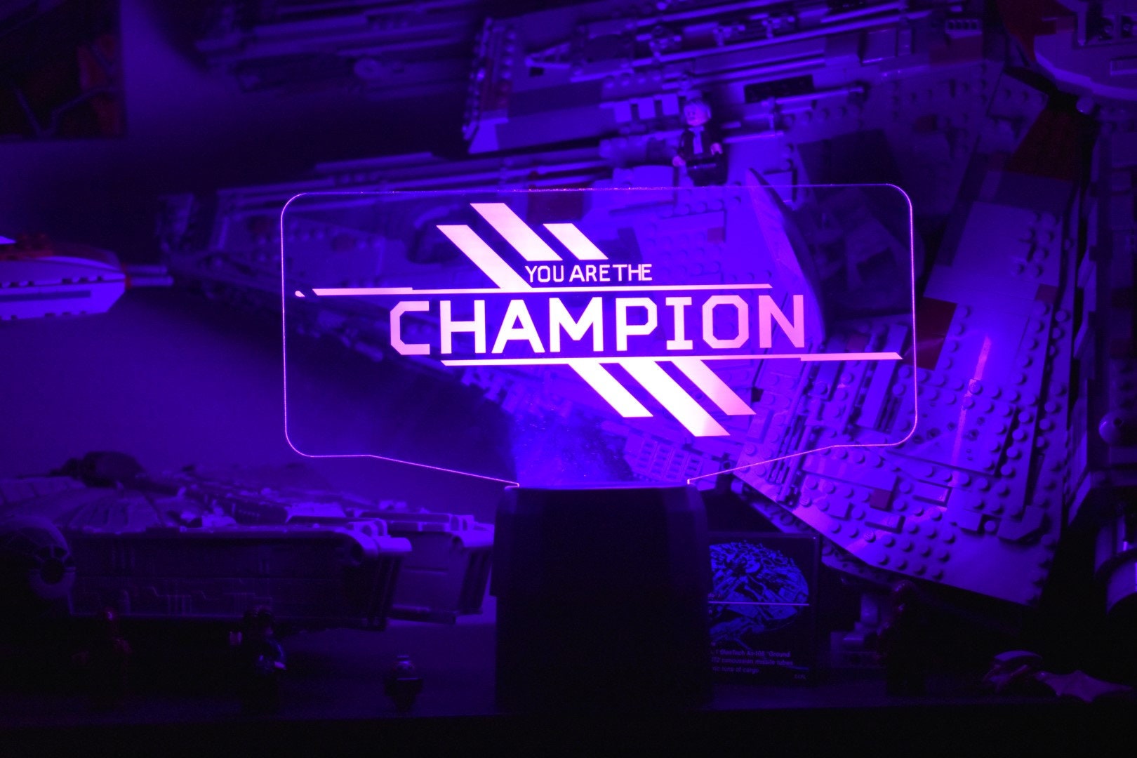 Personalized You are the Champion LED Lamp + Username perfect as a gift for a Legends Fan. Place in Man caves, bars, garages, desks.