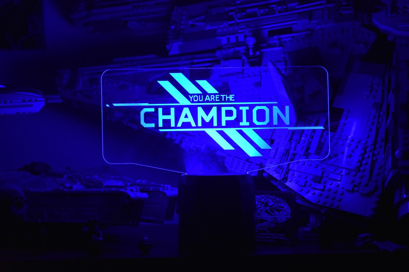 Personalized You are the Champion LED Lamp + Username perfect as a gift for a Legends Fan. Place in Man caves, bars, garages, desks.