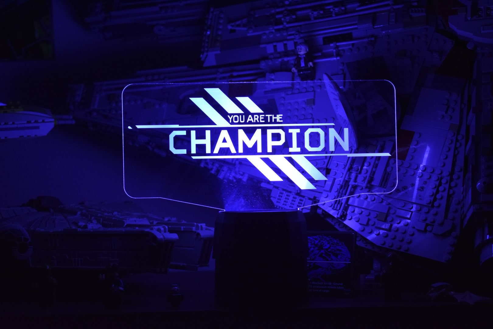 Personalized You are the Champion LED Lamp + Username perfect as a gift for a Legends Fan. Place in Man caves, bars, garages, desks.