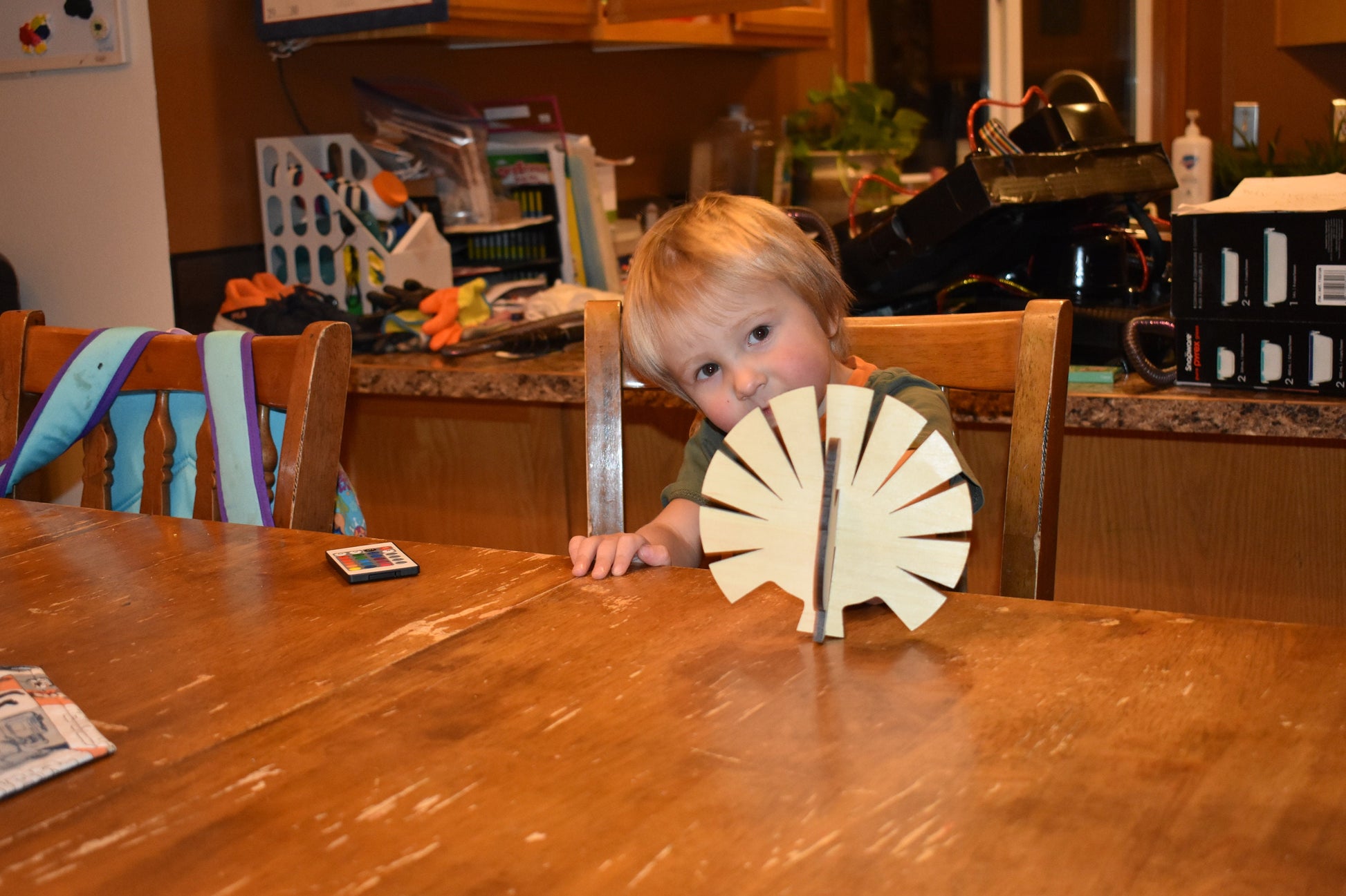 Thanksgiving Center Piece Placemat Turkey perfect as a gift.