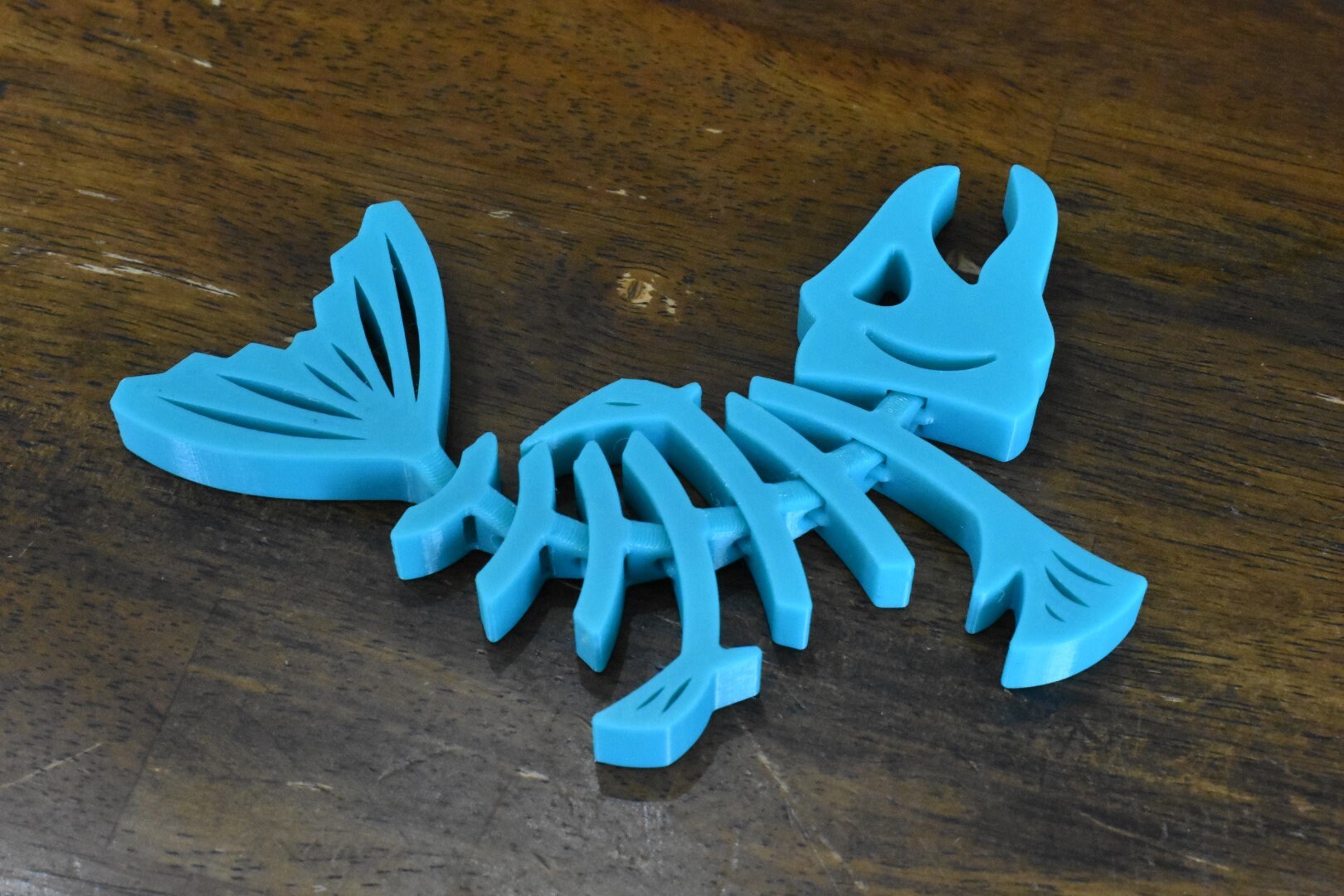 Articulated/Flexible Angry Fish Skeleton, Fun Toy for Kids and Adults and EVERYBODY!!