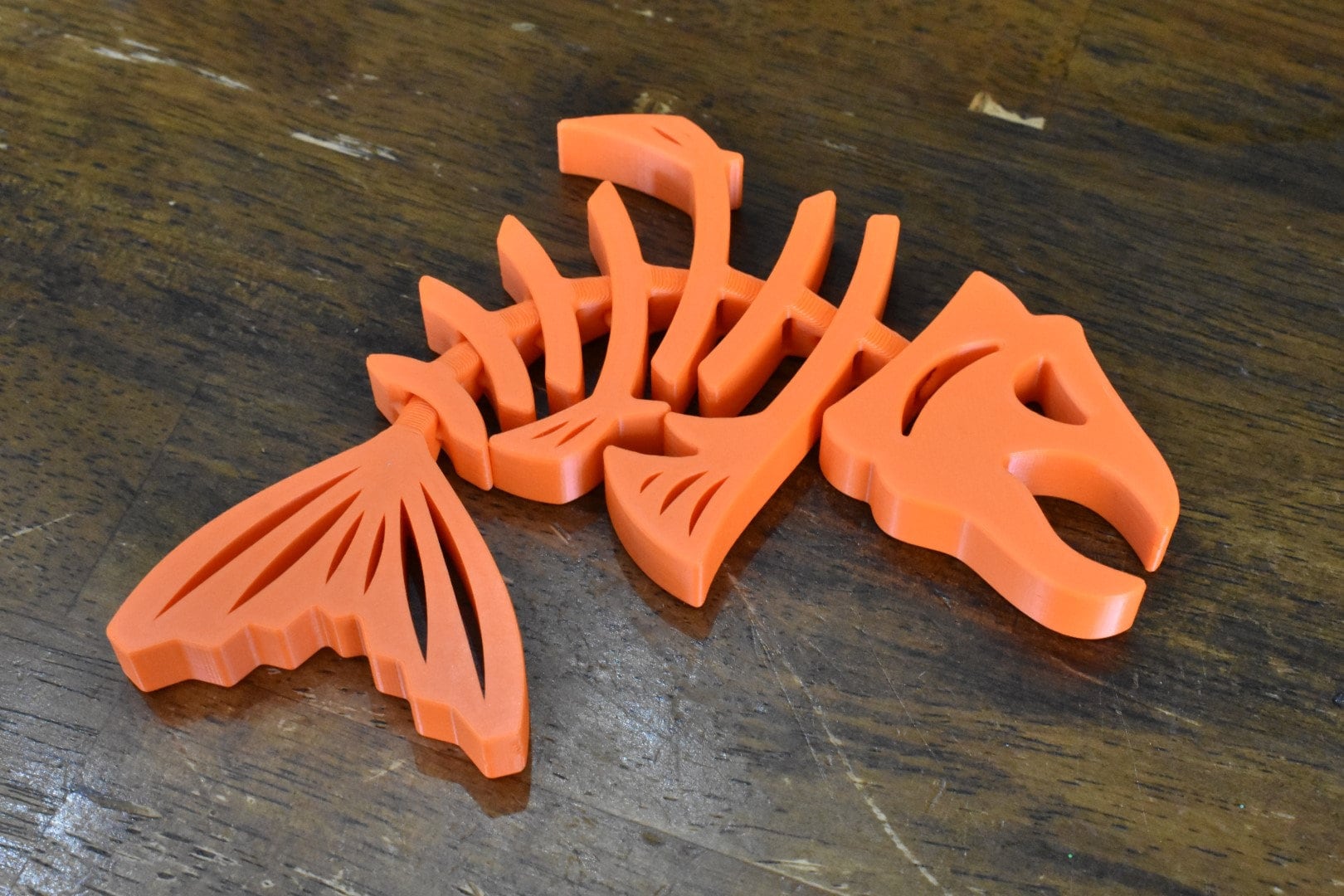 Articulated/Flexible Angry Fish Skeleton, Fun Toy for Kids and Adults and EVERYBODY!!