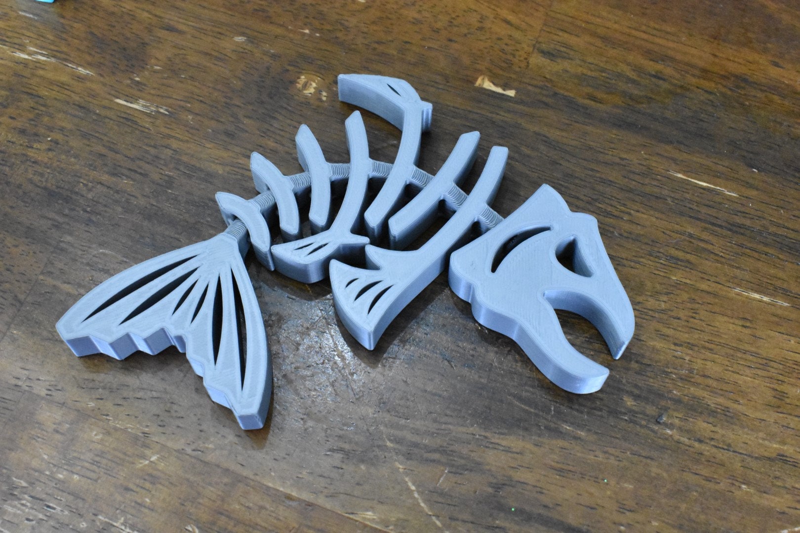 Articulated/Flexible Angry Fish Skeleton, Fun Toy for Kids and Adults and EVERYBODY!!